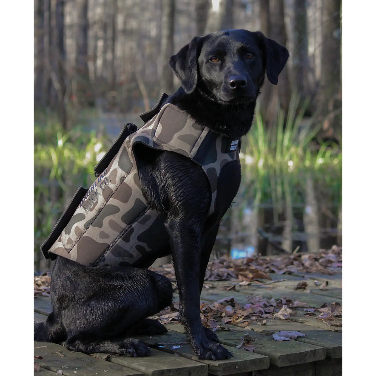 Adjustable Dog Vest