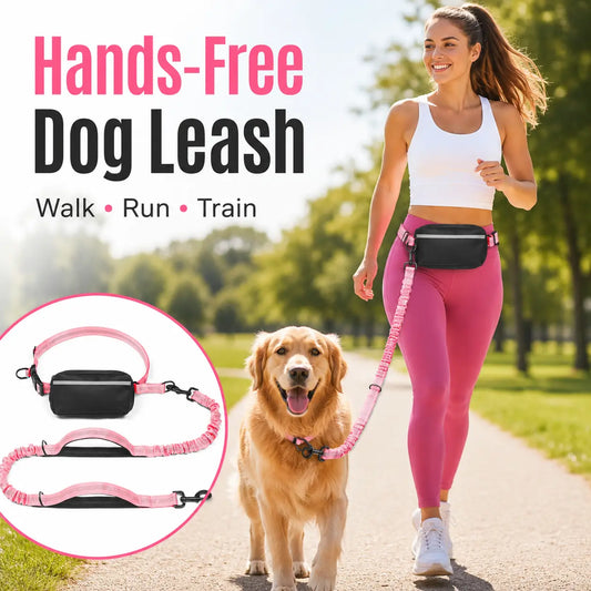 Hands-Free Waist Dog Leash with Dual Shock Absorbers and Reflective Trim
