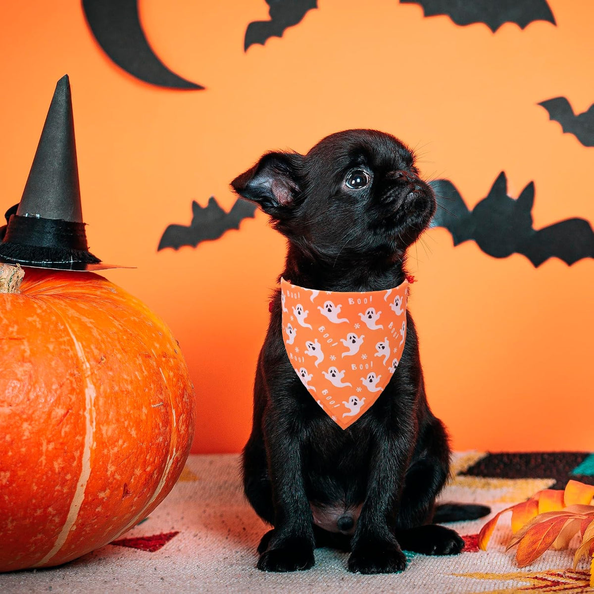 Halloween Dog Bandanas, 4 Pack Skeleton Ghost Pumpkin Bandana, S