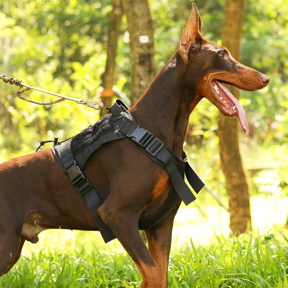 No-Pull Heavy-Duty Dog Harness with Handle for Large Active Dogs