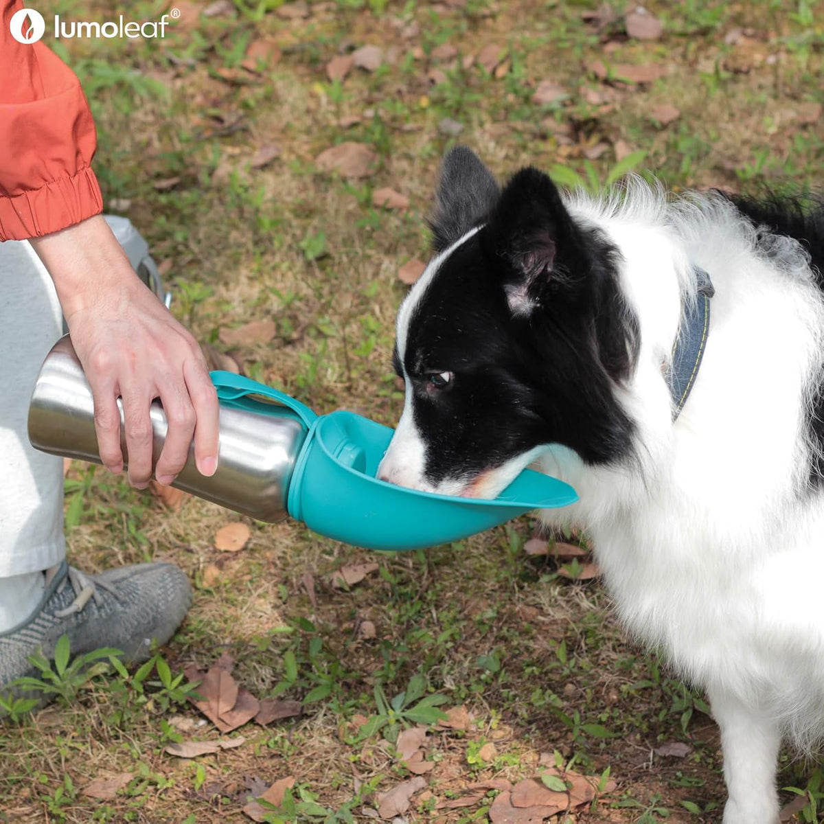 27 oz Stainless Steel Dog Water Bottle with Built-In Bowl