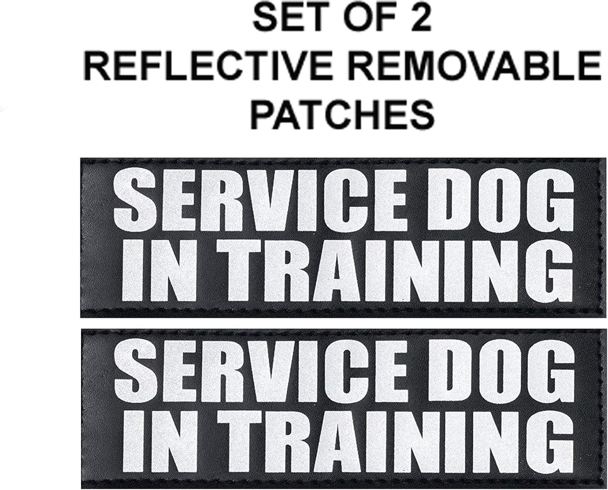 Official Service Dog in Training Vest Harness Bundle Kit