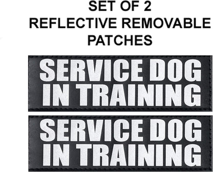 Official Service Dog in Training Vest Harness Bundle Kit