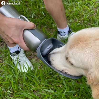 27 oz Stainless Steel Dog Water Bottle with Built-In Bowl