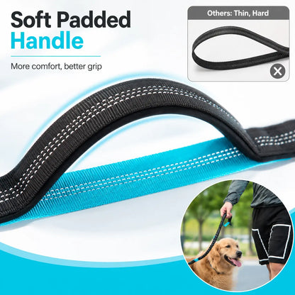 Hands-Free Waist Dog Leash with Dual Shock Absorbers and Reflective Trim