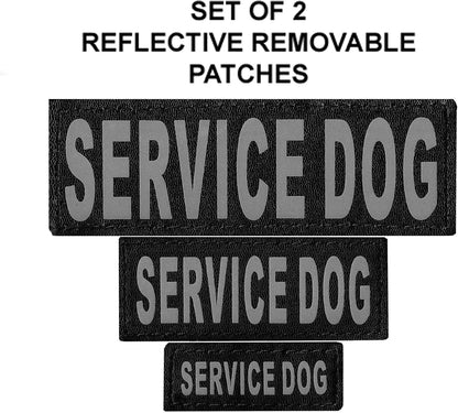 Official Service Dog in Training Vest Harness Bundle Kit