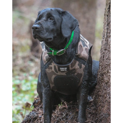 Adjustable Dog Vest