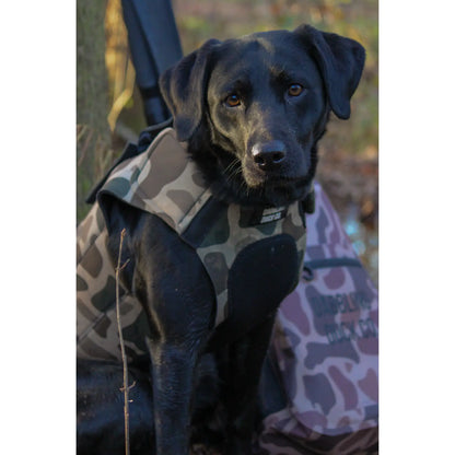 Adjustable Dog Vest