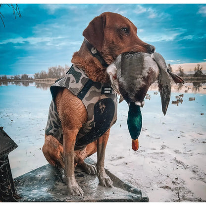 Adjustable Dog Vest