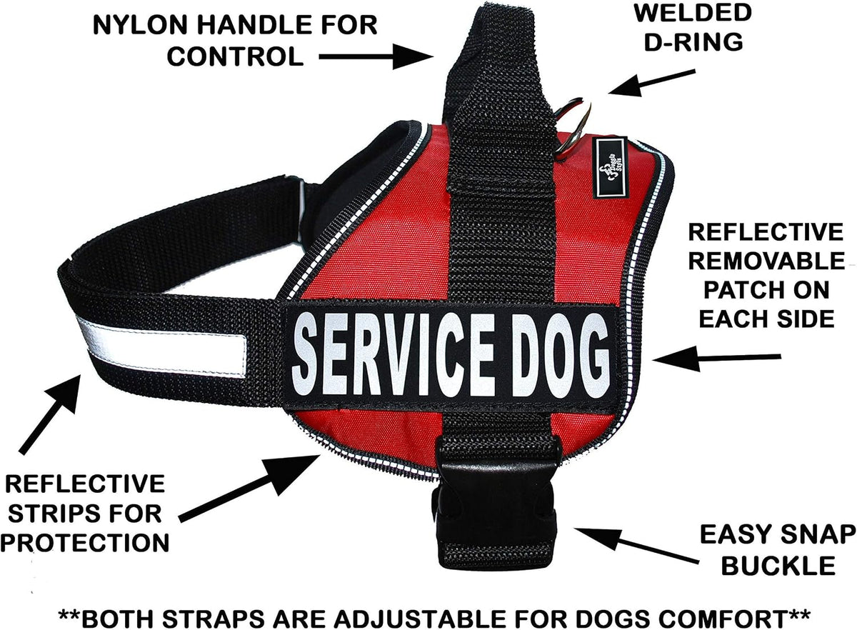 Official Service Dog in Training Vest Harness Bundle Kit