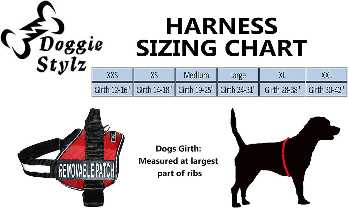 Official Service Dog in Training Vest Harness Bundle Kit