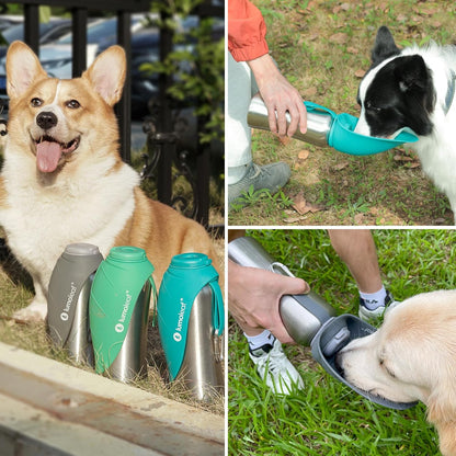 27 oz Stainless Steel Dog Water Bottle with Built-In Bowl
