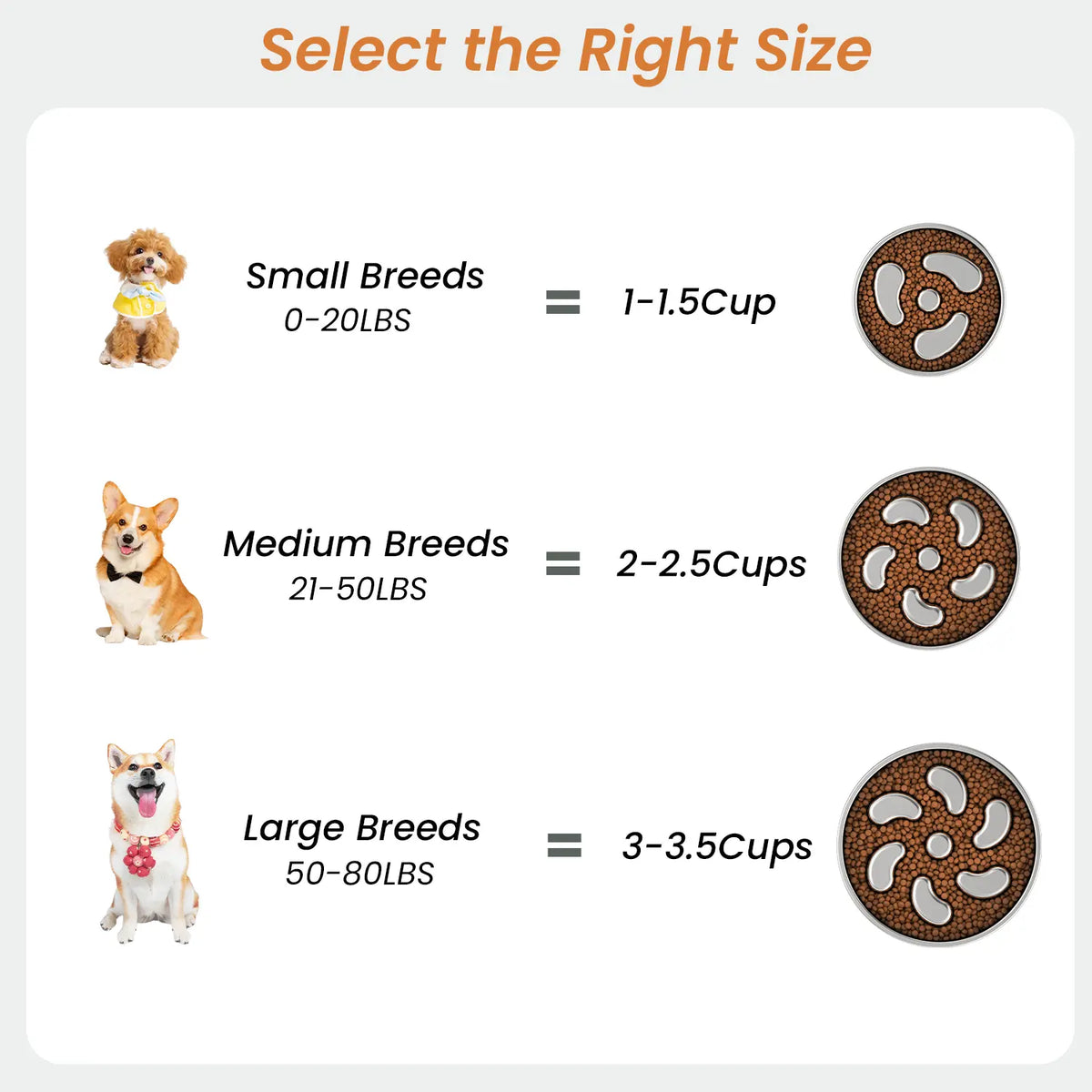 304 Stainless Steel Slow-Feeder Dog Bowl with Non-Slip Base