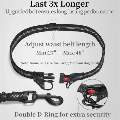 Hands-Free Waist Dog Leash with Dual Shock Absorbers and Reflective Trim