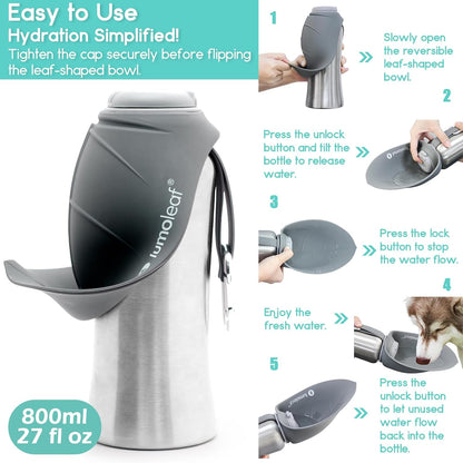 27 oz Stainless Steel Dog Water Bottle with Built-In Bowl